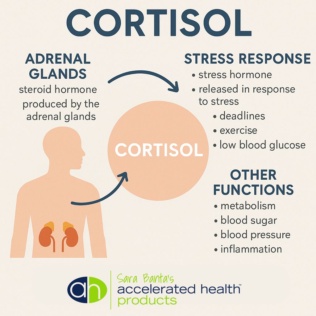 what is cortisol diagram
