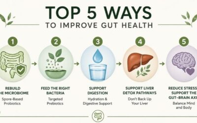 Top 5 Ways To Improve Gut Health