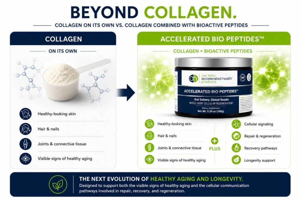 bioactive peptide collagen