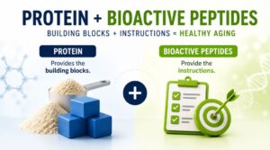 protein powder vs bio active peptides