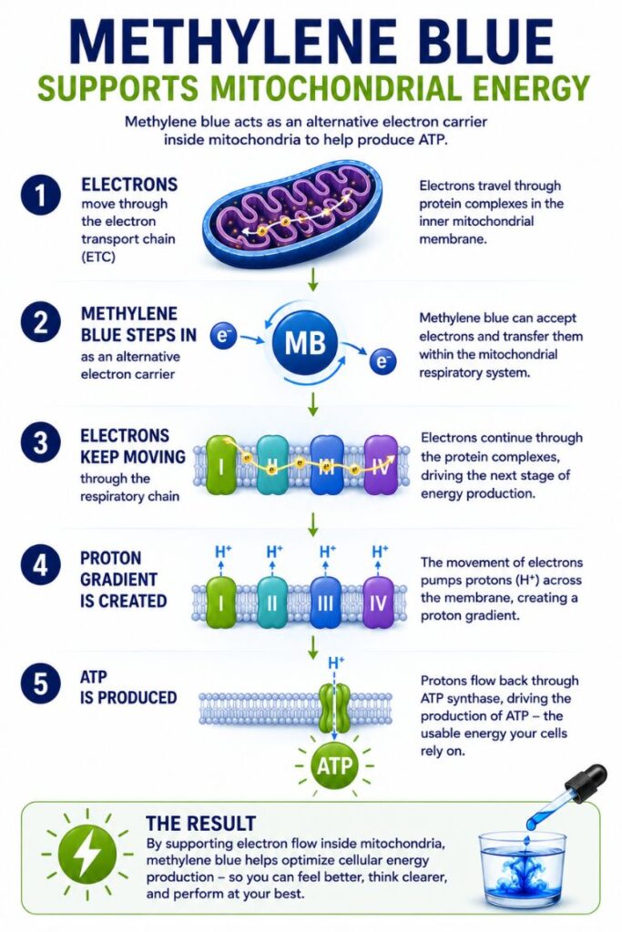 methylene blue for mitochondria_sara banta health
