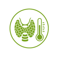 thyroid temperature test